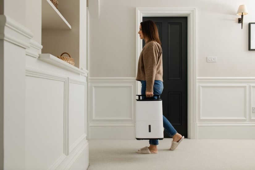 Odvlhčovač s čističkou vzduchu Meaco Dry Arete® Two 12L