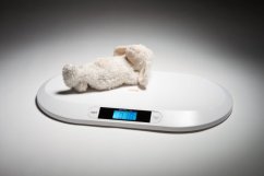 Kojenecká váha Pelo W22